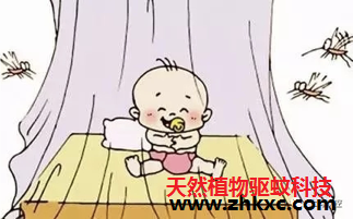 植物精油驅(qū)蚊劑