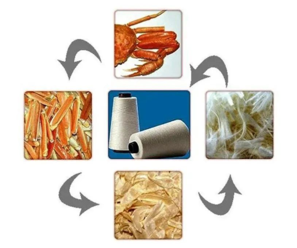 甲殼素與殼聚糖纖維可紡成長絲或短纖維兩大類.png