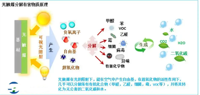 光觸媒抗菌的反應(yīng)機(jī)理.png
